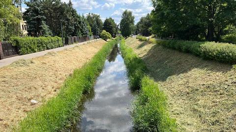 Początek tygodnia pod znakiem chmur i wiatru