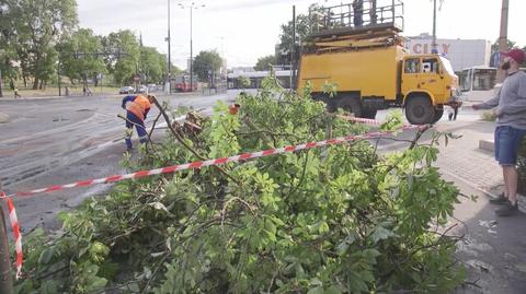 Silny wiatr łamał drzewa w Toruniu