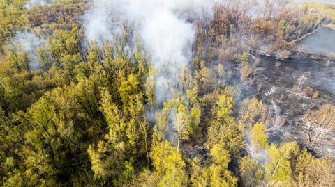 "Grill, ognisko w środku lasu, to zdecydowanie zły pomysł"