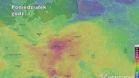 Prędkość porywów wiatru w porywach w najbliższych dniach (ventusky.com | wideo bez dźwięku)