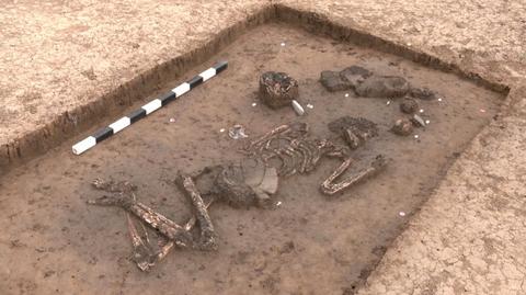 W Bawarii znaleziono szkielet mężczyzny sprzed 6800 lat