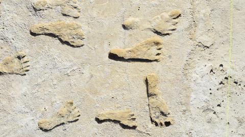 Odkryte ślady stóp w parku narodowym White Sands
