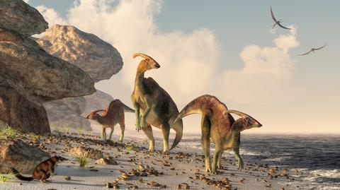 Dinozaury nie tylko zamieszkiwały Arktykę, ale także się tam rozmnażały