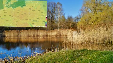 Prognozowana temperatura na najbliższe dni