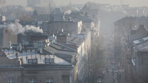 Zanieczyszczone powietrze zabija. W smogu są związki, których działania nie znamy