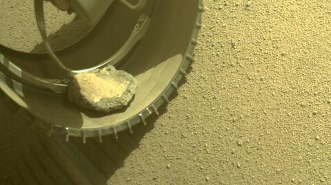 Łazik SFR na Marsie - wizualizacja