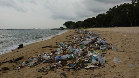 Rafał Jankowski o plastiku w żołądkach zwierząt