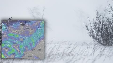 Prognoza temperatury na okres 25-29.04