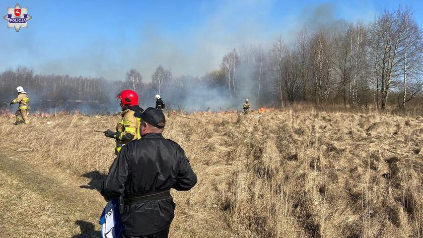 Pożar w okolicach Tomaszowa Lubelskiego (marzec 2022)