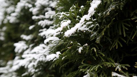 Prognoza pogody na piątek