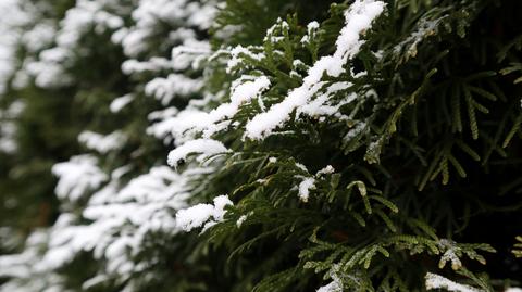 Prognoza pogody na wtorek