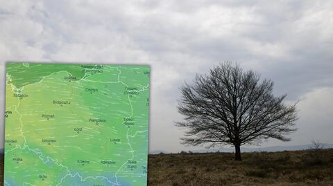 Prognozowana temperatura na najbliższe dni