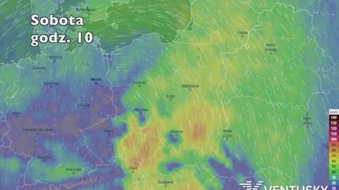 Prędkość porywów wiatru w najbliższych dniach (ventusky.com | wideo bez dźwięku)