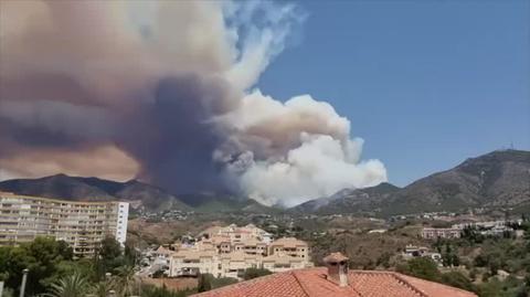 Płonie las w prowincji Malaga na południu Hiszpanii