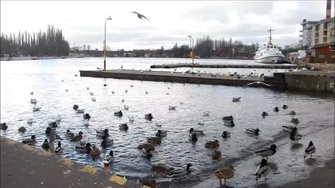 Sztorm i silny wiatr, plaża i falochron w Świnoujściu pod wodą!