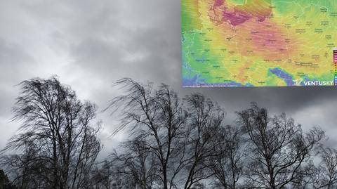 Prognozowana temperatura w kolejnych dniach