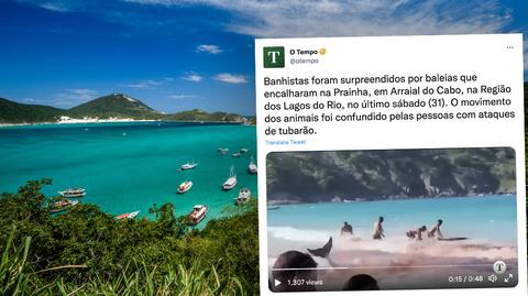 Do zdarzenia doszło na plaży Prainha Arraial do Cabo