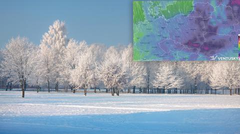 Prognozowana temperatura w kolejnych dniach