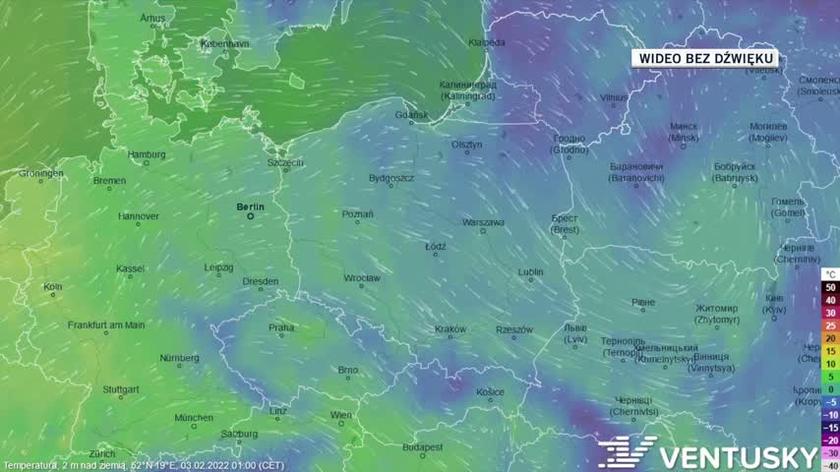 Prognozowana temperatura w ciągu kolejnych dni