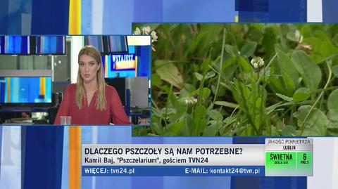 Dlaczego pszczoły są nam potrzebne