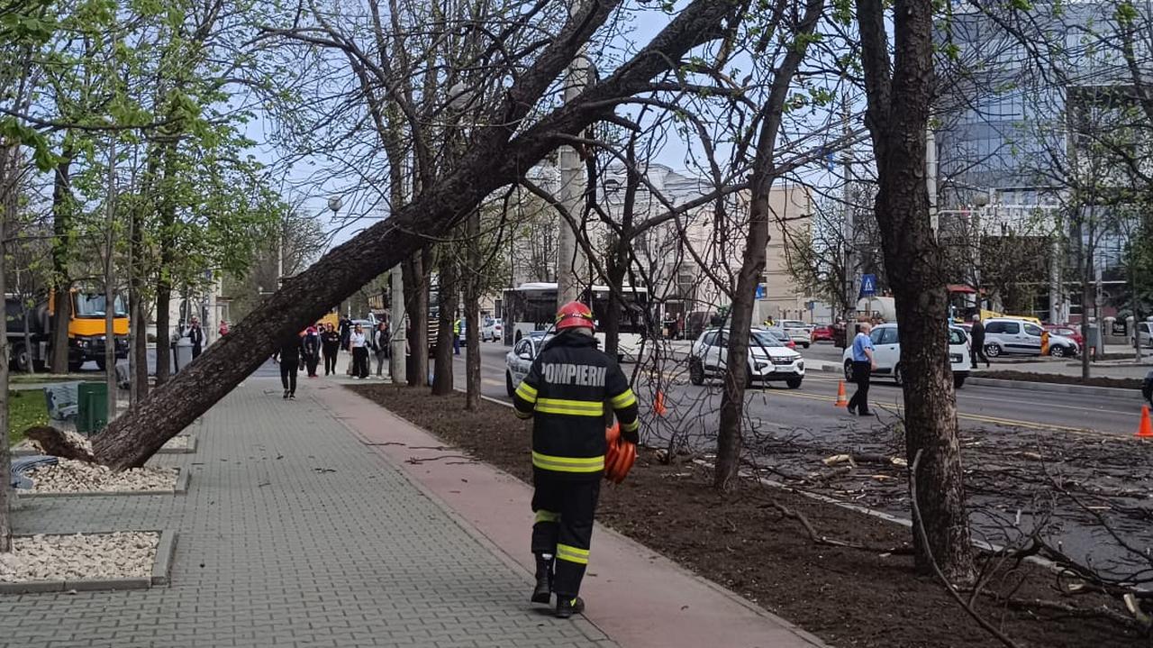 România.  Copacii au căzut în vântul uraganului.  Clădiri și mașini avariate