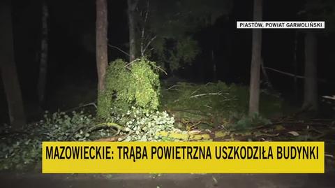 "Jest wyjątkowo ciepło i jest to wyjątkowo dokuczliwe dla ludzi"