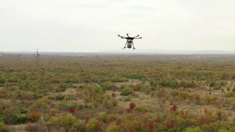 Chorwacja: drony zalesiają spalone tereny 