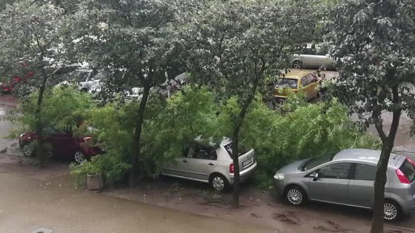Drzewo spadło na samochody po burzy