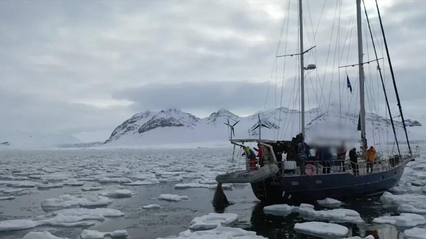 Mors zaatakował polski jacht na Svalbardzie w Norwegii 