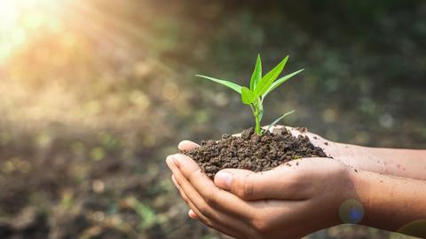 Organizacje ekologiczne chcą edukacji na temat ochrony klimatu w szkołach