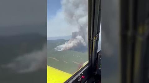 Pożary lasów w Turcji. Akcja gaśnicza w prowincji Bursa