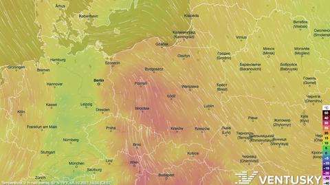 Prognozowana temperatura w ciągu kolejnych dni