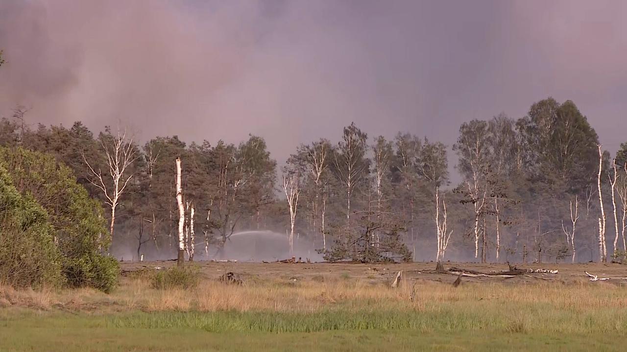 Duży pożar na Śląsku. W ogniu około 50 hektarów
