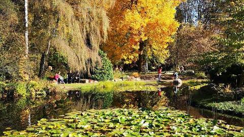 Kórnickie arboretum jest najstarsze i największe w Polsce