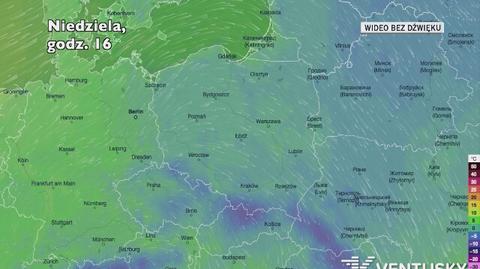 Prognozowana temperatura w najbliższych dniach