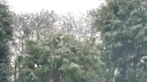 07.03.2012- śnieg w Giżycku cz.II