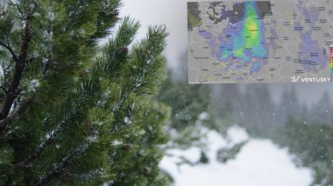 Prognozowana temperatura w kolejnych dniach