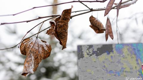 Prognozowana temperatura w kolejnych dniach