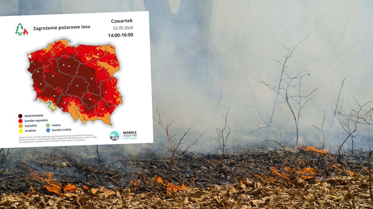 Zagrożenie pożarowe w lasach. Większość Polski na czerwono