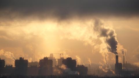 Co się stanie z poszczególnymi miastami świata, jeśli nie zatrzymamy emisji gazów cieplarnianych