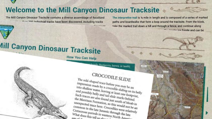 Szlak dinozaurów w Mill Canyon w Utah (wideo bez dźwięku)