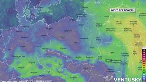 Prognozowane porywy wiatru w kolejnych dniach