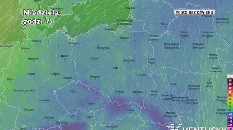 Prognozowana temperatura w kolejnych dniach 