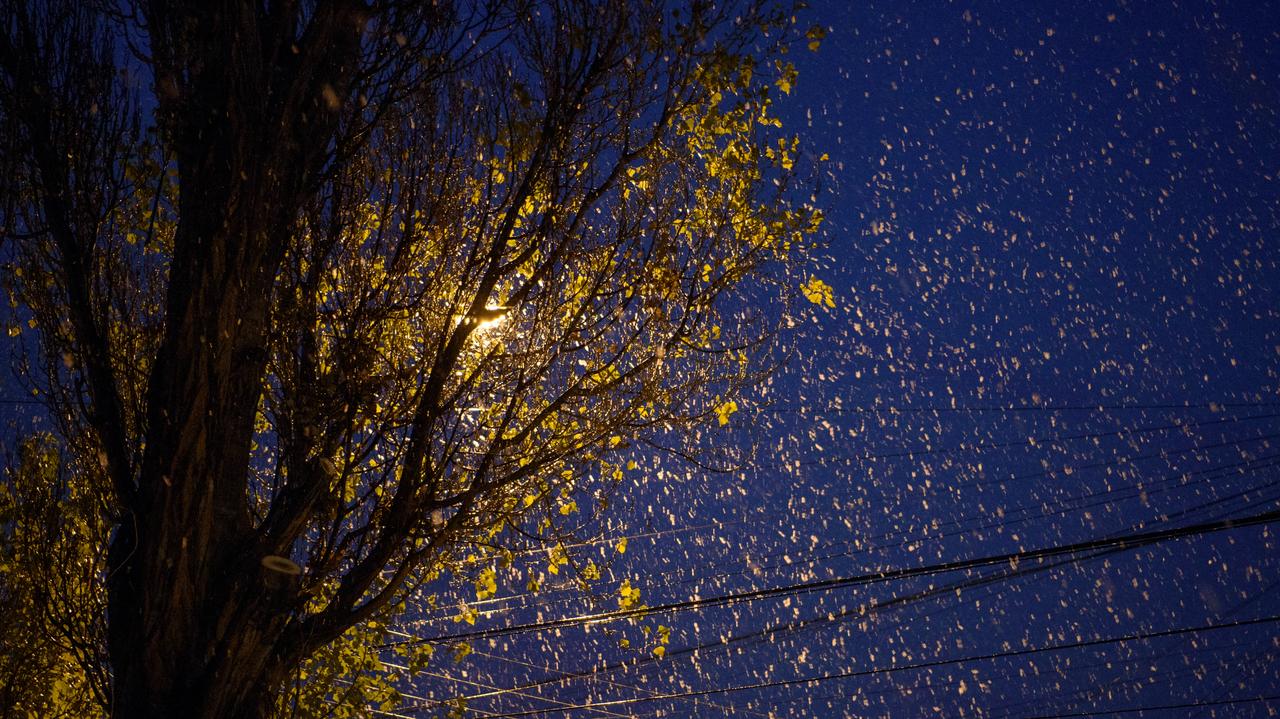 Pogoda na jutro - wtorek, 18.11. Nocą miejscami spadnie śnieg