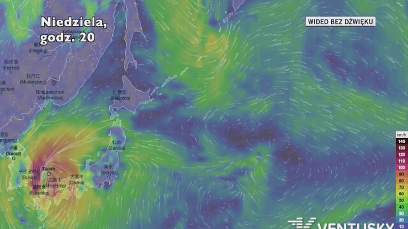 Prognozowana trasa tajfunu Tapa (Ventusky.com)