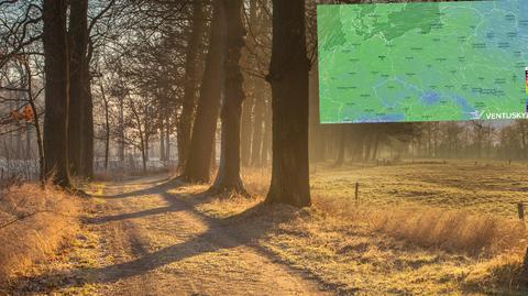 Prognozowana temperatura na kolejne dni