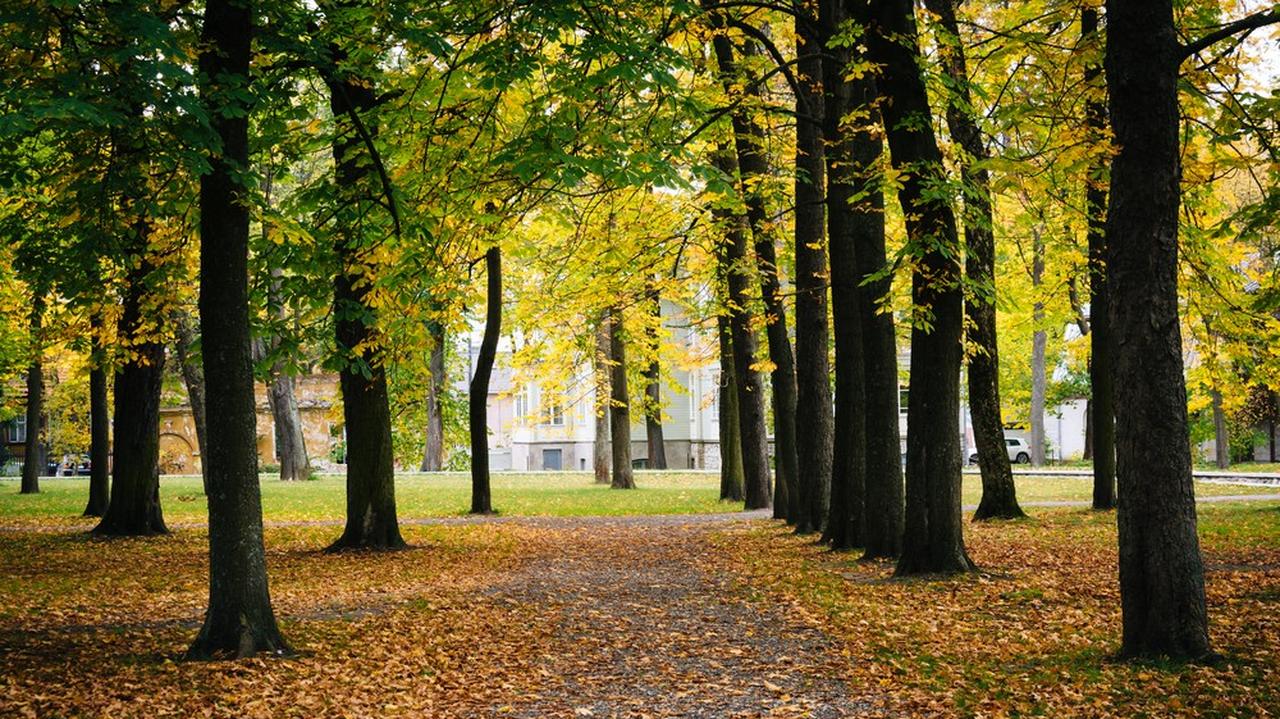 Pogoda na dziś - piątek, 26.09. Wiele słonecznych miejsc, do 18 stopni