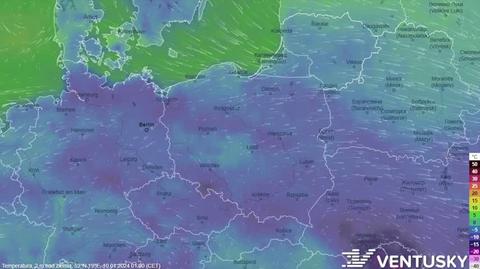 Prognozowana temperatura w kolejnych dniach