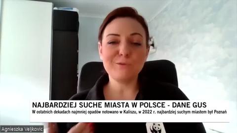 Zalety łąk kwietnych w miastach