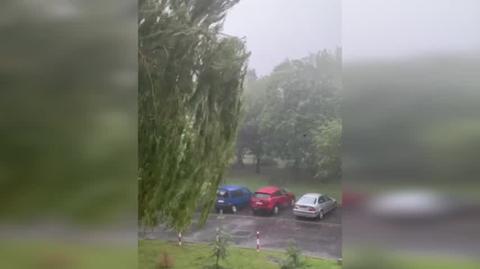 Burza w Poznaniu